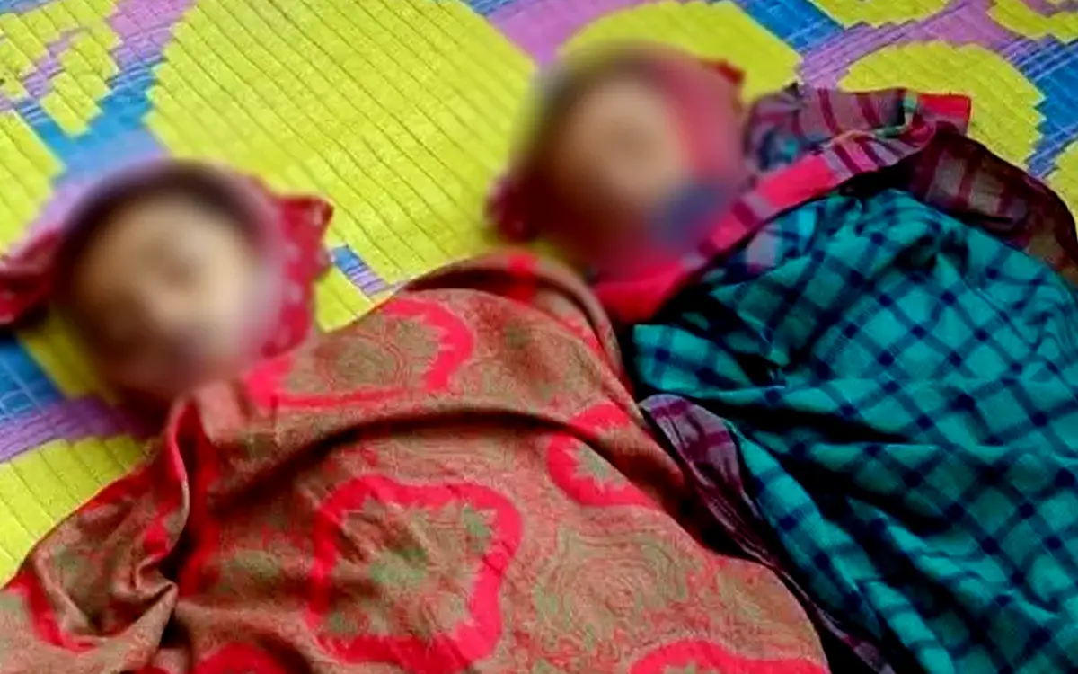 নেত্রকোনায় বিদ্যুৎস্পৃষ্ট হয়ে দুই ভাইয়ের মৃত্যু