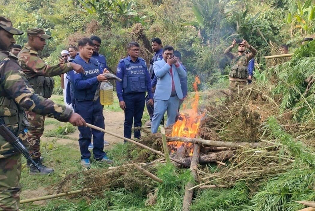 খাগড়াছড়ির গুইমারায় ১০ কোটি টাকা মূল্যের গাঁজা ক্ষেত ধ্বংস