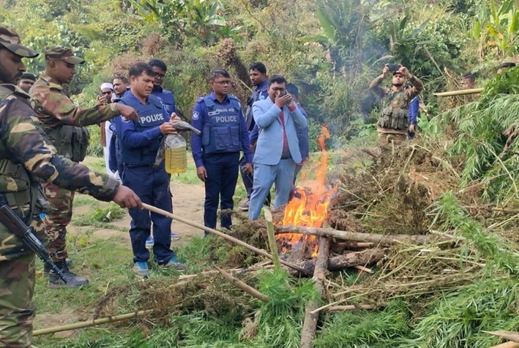 খাগড়াছড়ির গুইমারায় ১০ কোটি টাকা মূল্যের গাঁজা ক্ষেত ধ্বংস