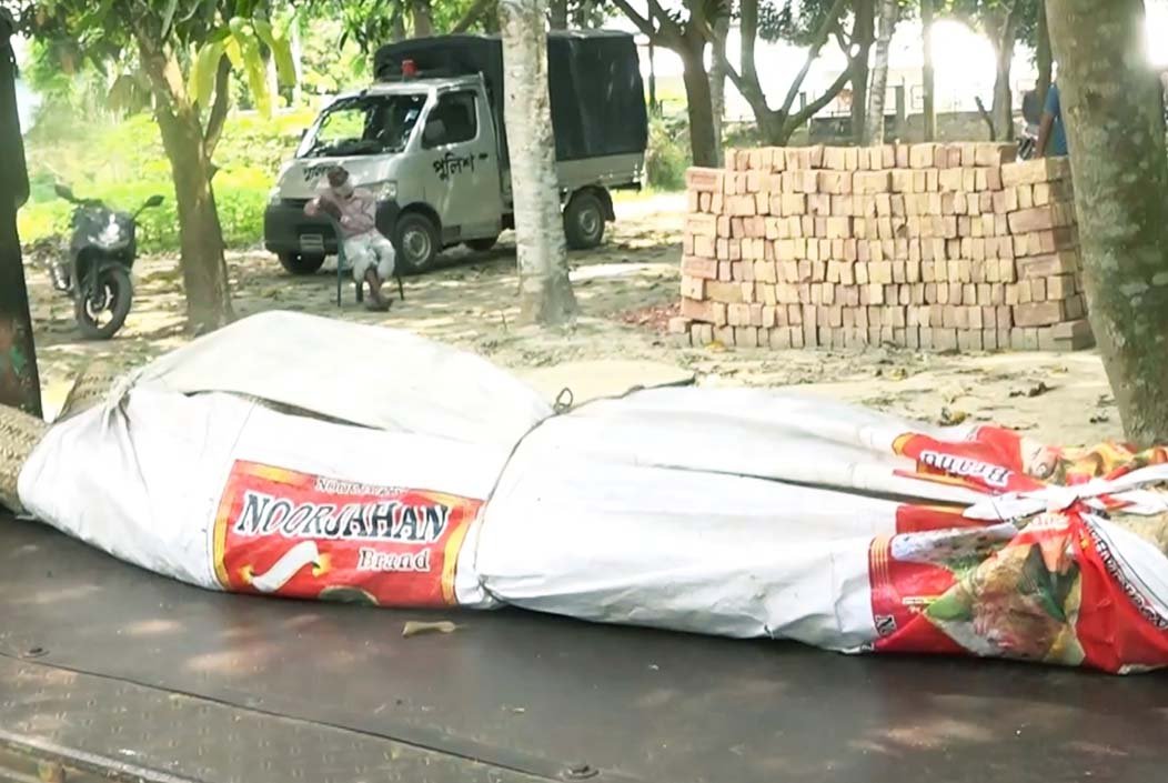 গোপালগঞ্জের কাশিয়ানীতে ইঁদুর মারার ফাঁদে আটকে নিহত ২