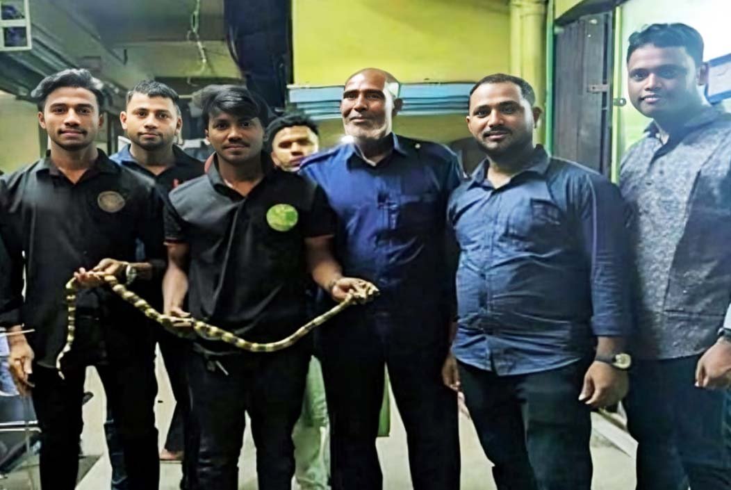 চট্টগ্রামের আনোয়ারায় হাসপাতালের কক্ষ থেকে বিষধর সাপ উদ্ধার