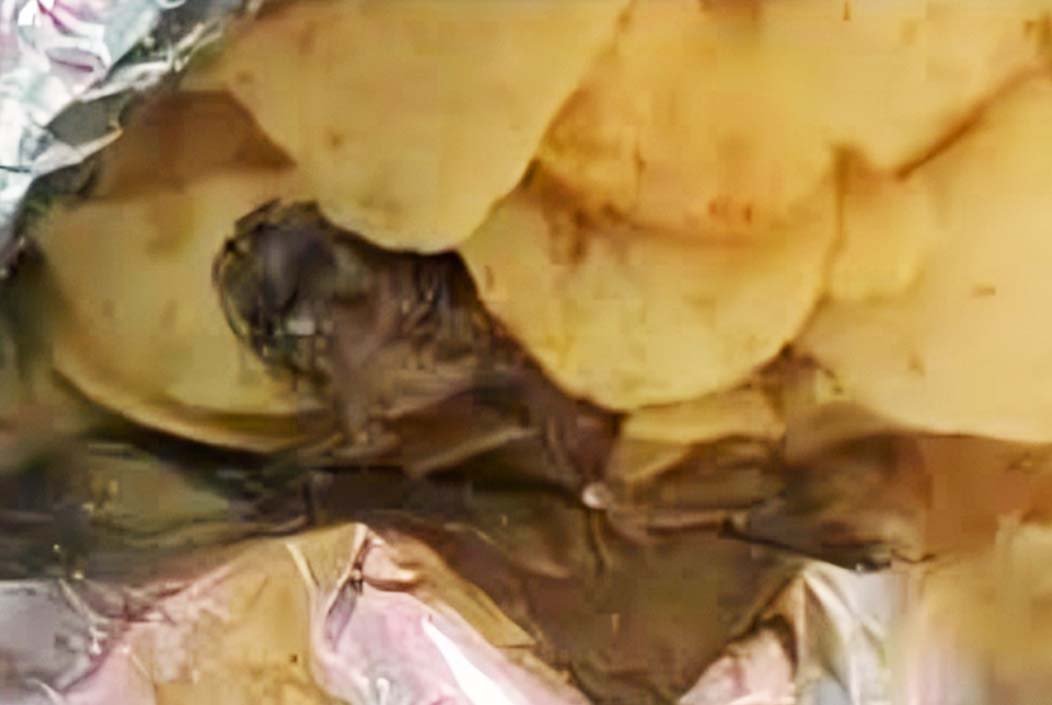 চিপসের প্যাকেট থেকে বেরিয়ে এলো মরা ব্যাঙ