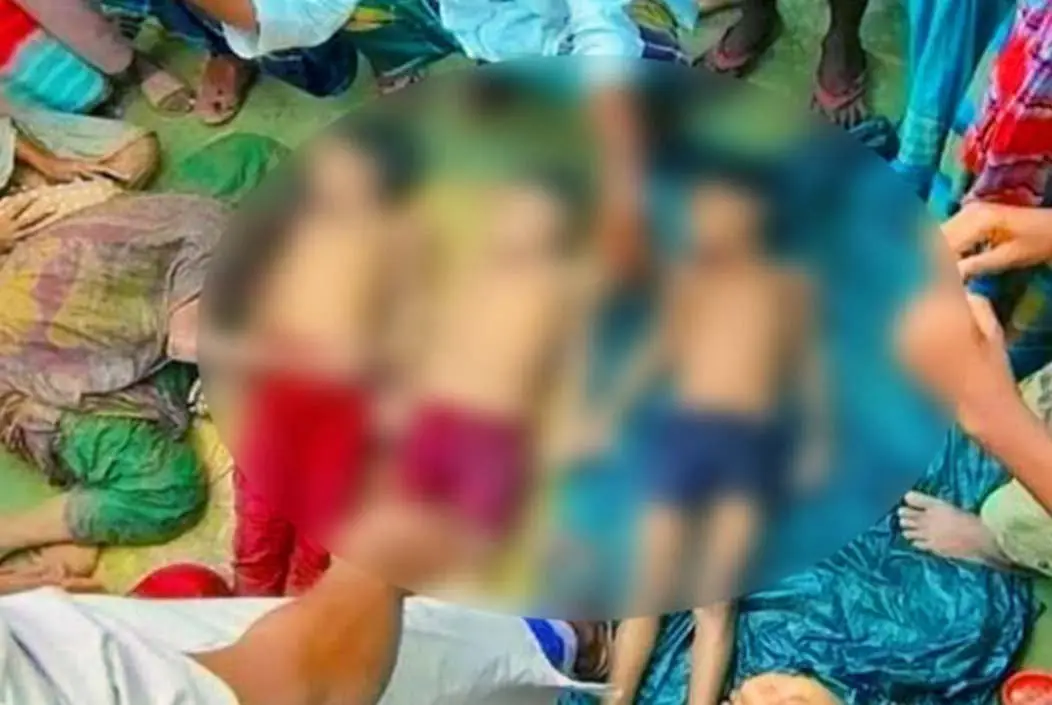 ময়মনসিংহে পানিতে ডুবে প্রাণ গেল ২ ভাইসহ ৩ নিষ্পাপ শিশুর