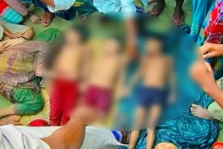 ময়মনসিংহে পানিতে ডুবে প্রাণ গেল ২ ভাইসহ ৩ নিষ্পাপ শিশুর