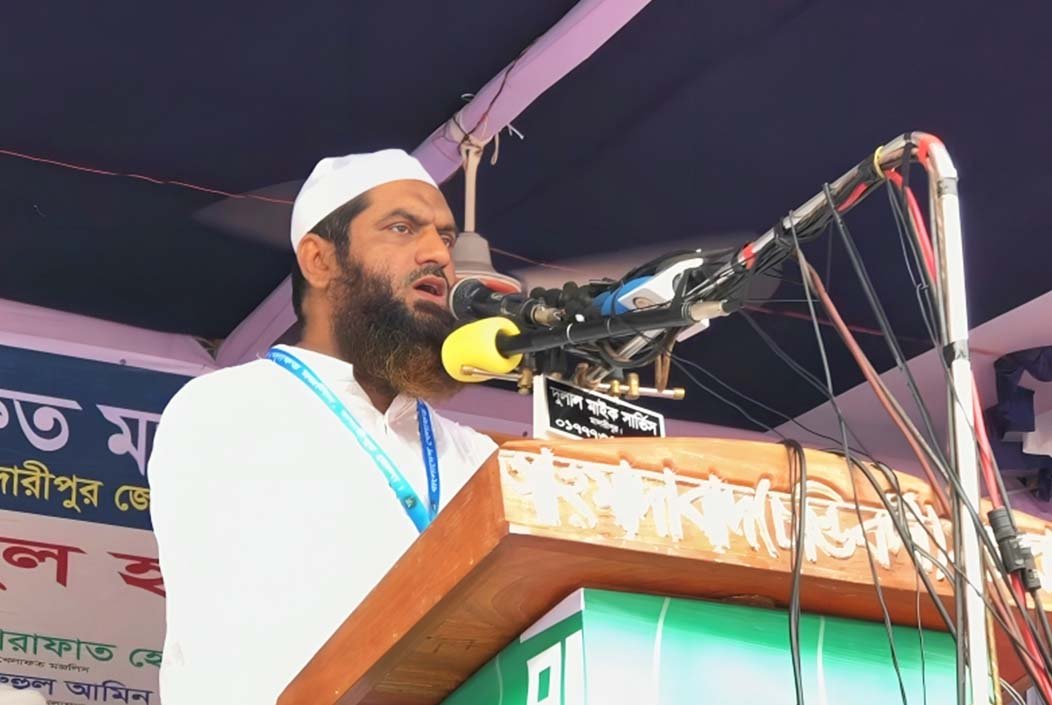 আওয়ামী লীগ রাতের বেলায় কালনাগিনী, দিনের বেলা ওঝা: মামুনুল হক