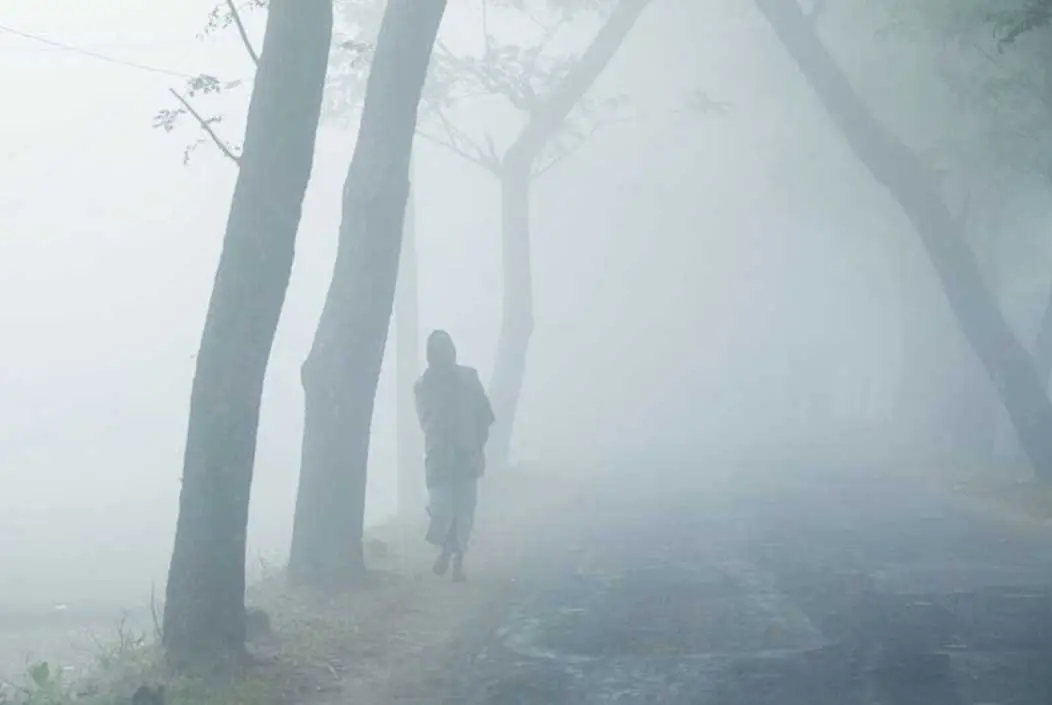 মাঝারি থেকে ঘন কুয়াশা থাকবে আরো ৩ দিন : আবহাওয়া অফিস