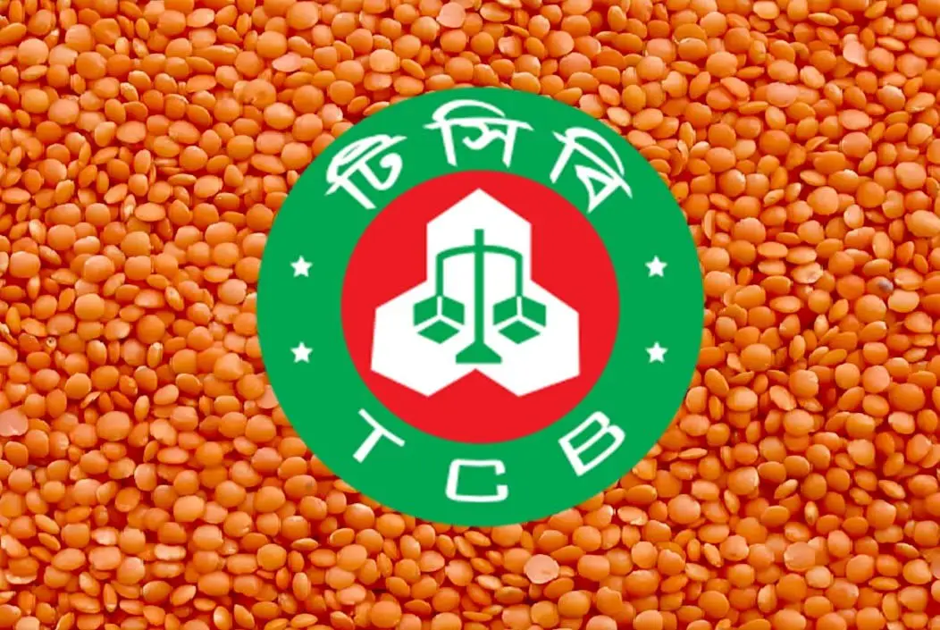 টিসিবির জন্য ৯৮ কোটি টাকার মসুর ডাল কিনবে সরকার
