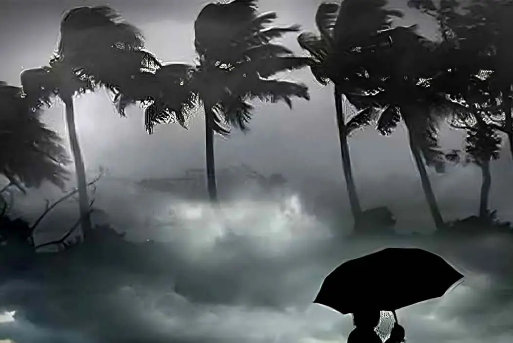 নববর্ষের সকালে দমকা হাওয়া ও বজ্রসহ বৃষ্টির সম্ভাবনা