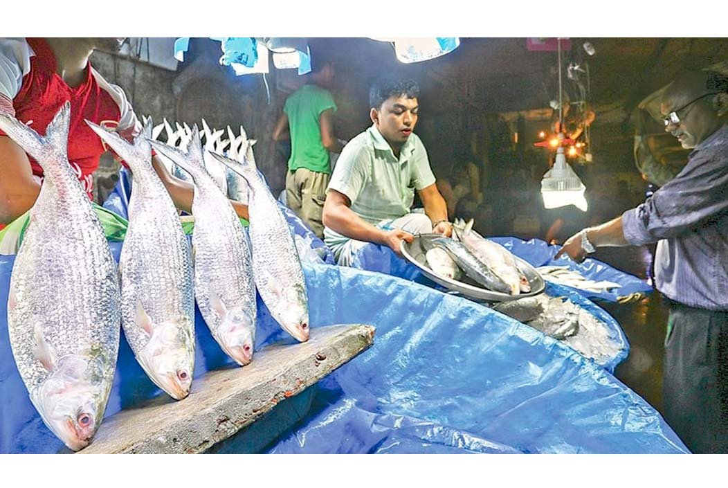 পহেলা বৈশাখে ইলিশের দেখা নেই, দাম ছুঁয়েছে আকাশ!