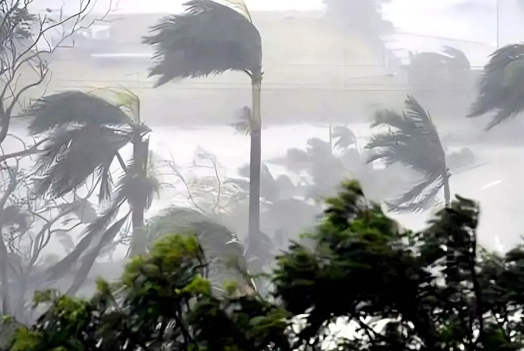 সন্ধ্যার মধ্যে রংপুর ও দিনাজপুরে ঝড়ো হাওয়াসহ বজ্রবৃষ্টি...