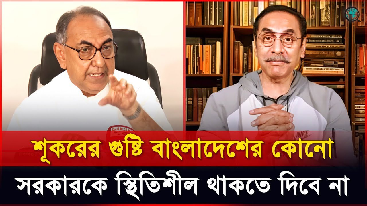 সকলে মিলে বিএনপির পিছনে লেগেছে: মির্জা আব্বাস
