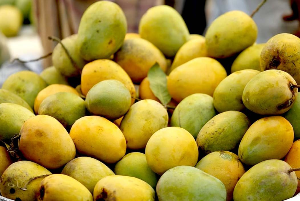 রাজশাহীর বাজারে আসছে আম, কবে কোন জাত?