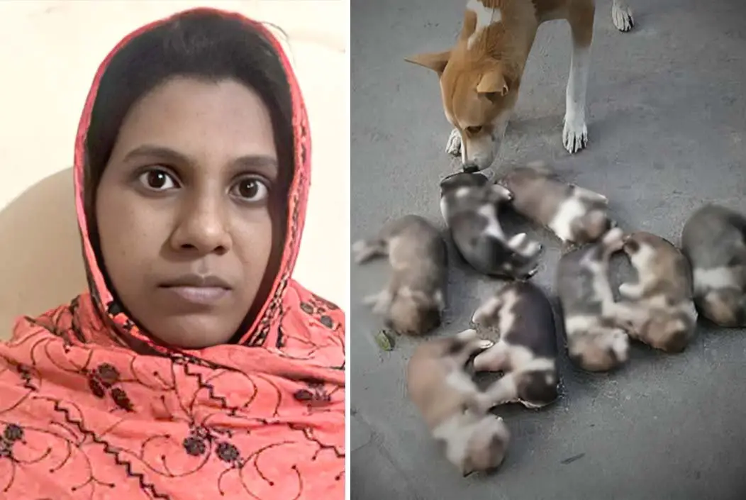 কুকুরছানা হত্যার অভিযোগে সরকারি কর্মকর্তার স্ত্রী গ্রেফতার