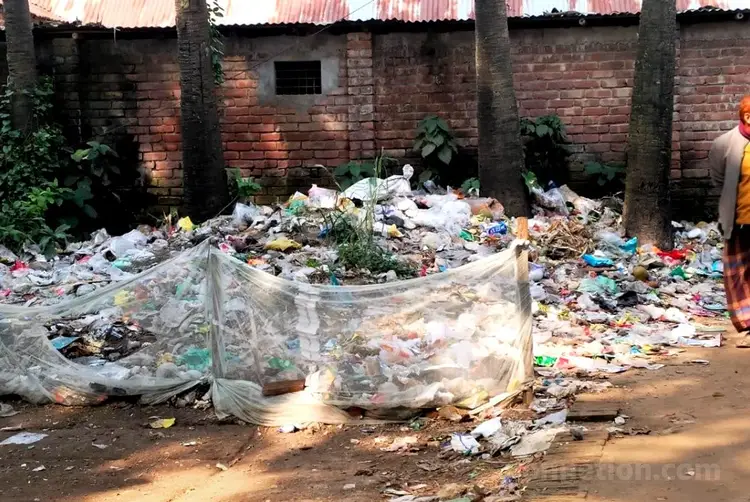 বগুড়ার শেরপুরে মসজিদের পাশে ময়লার স্তূপ, চরম দুর্ভোগে মুসল্লীরা