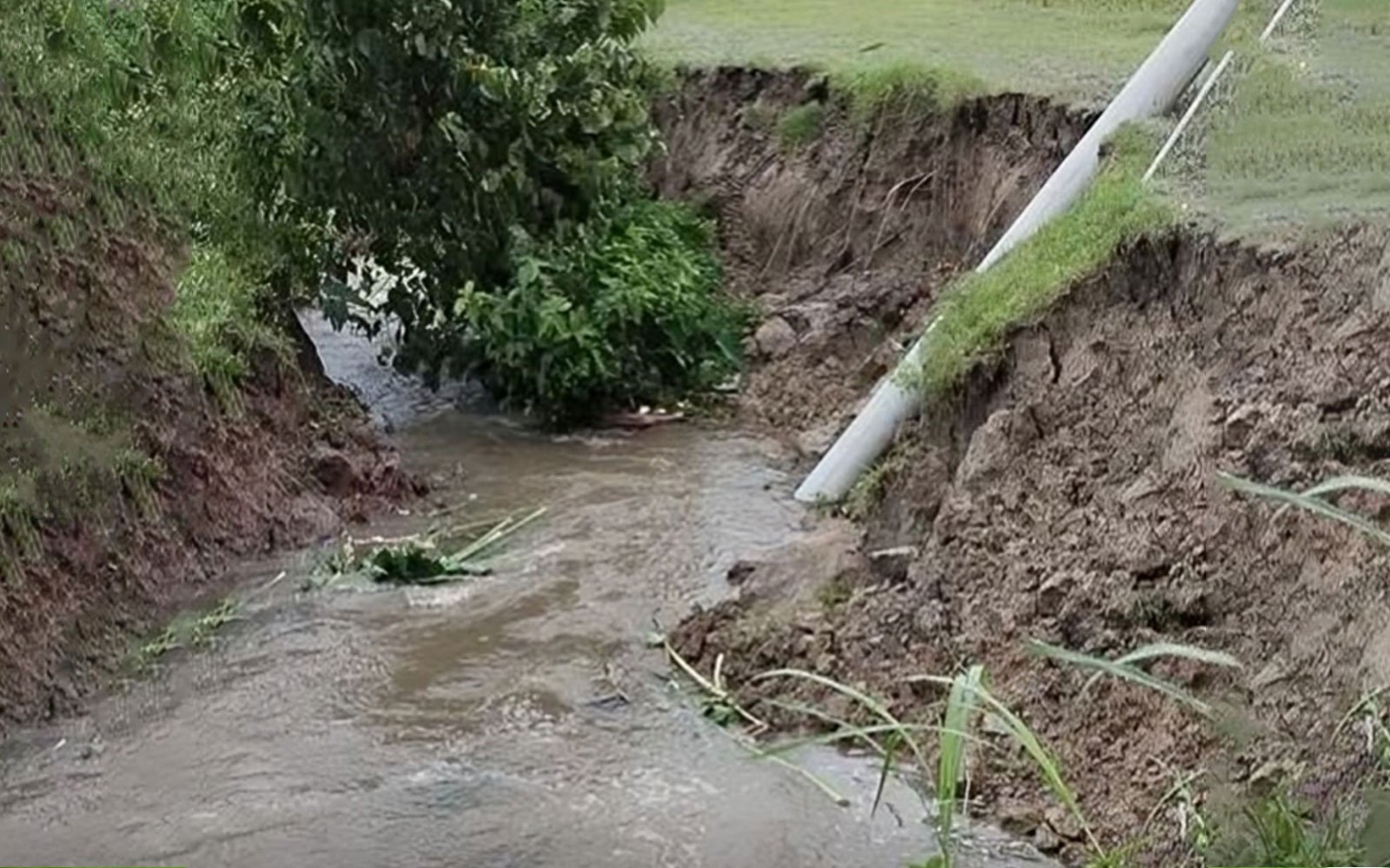 শেরপুরে পানির স্রোতে বিলীন ১০ বিঘা জমি
