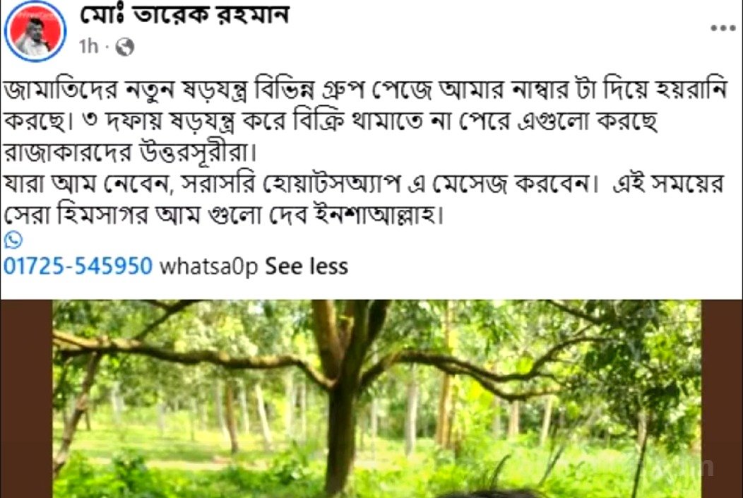 ছবি: সংগৃহিত