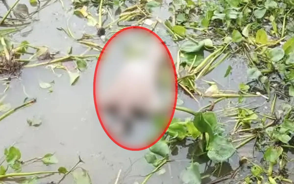 শাজাহানপুরে নদী থেকে নিখোঁজ ব্যক্তির মরদেহ উদ্ধার অন্বেষণ Onnetion