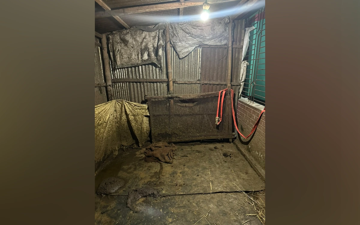 শেরপুরের ভবানীপুরে ৩টি গরু চুরির ঘটনায় থানায় অভিযোগ