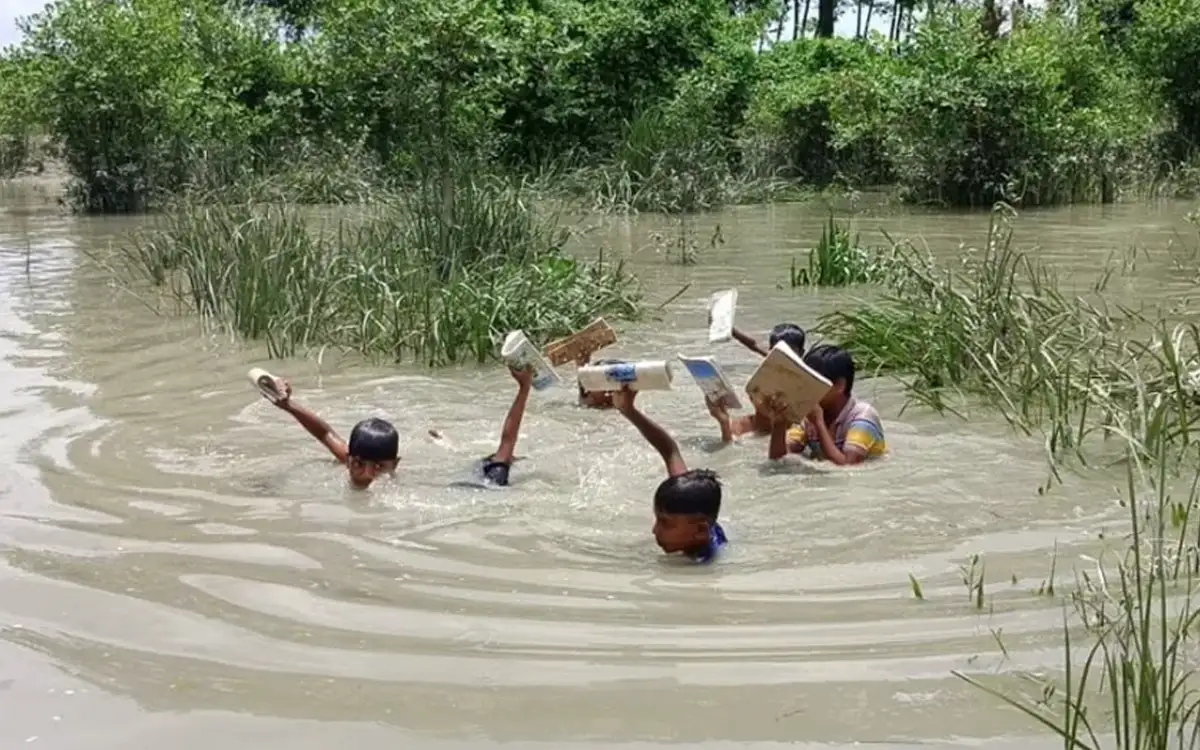 নিউজ ছবি