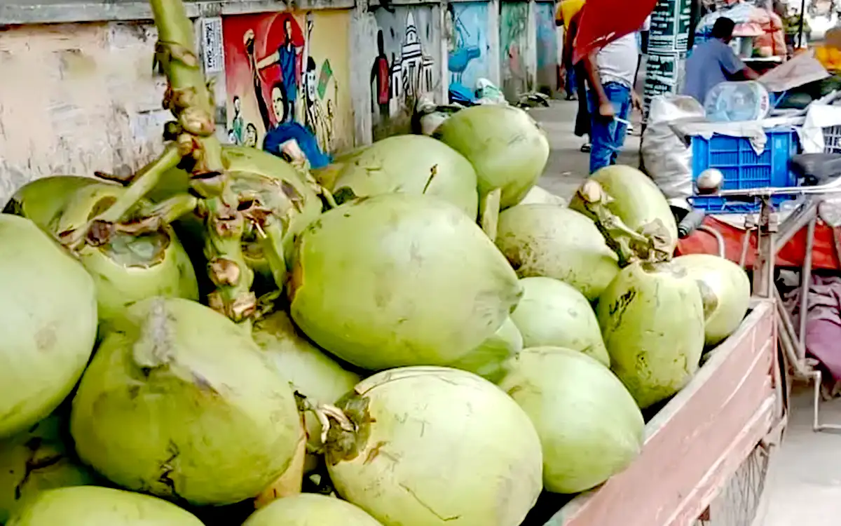 নিউজ ছবি