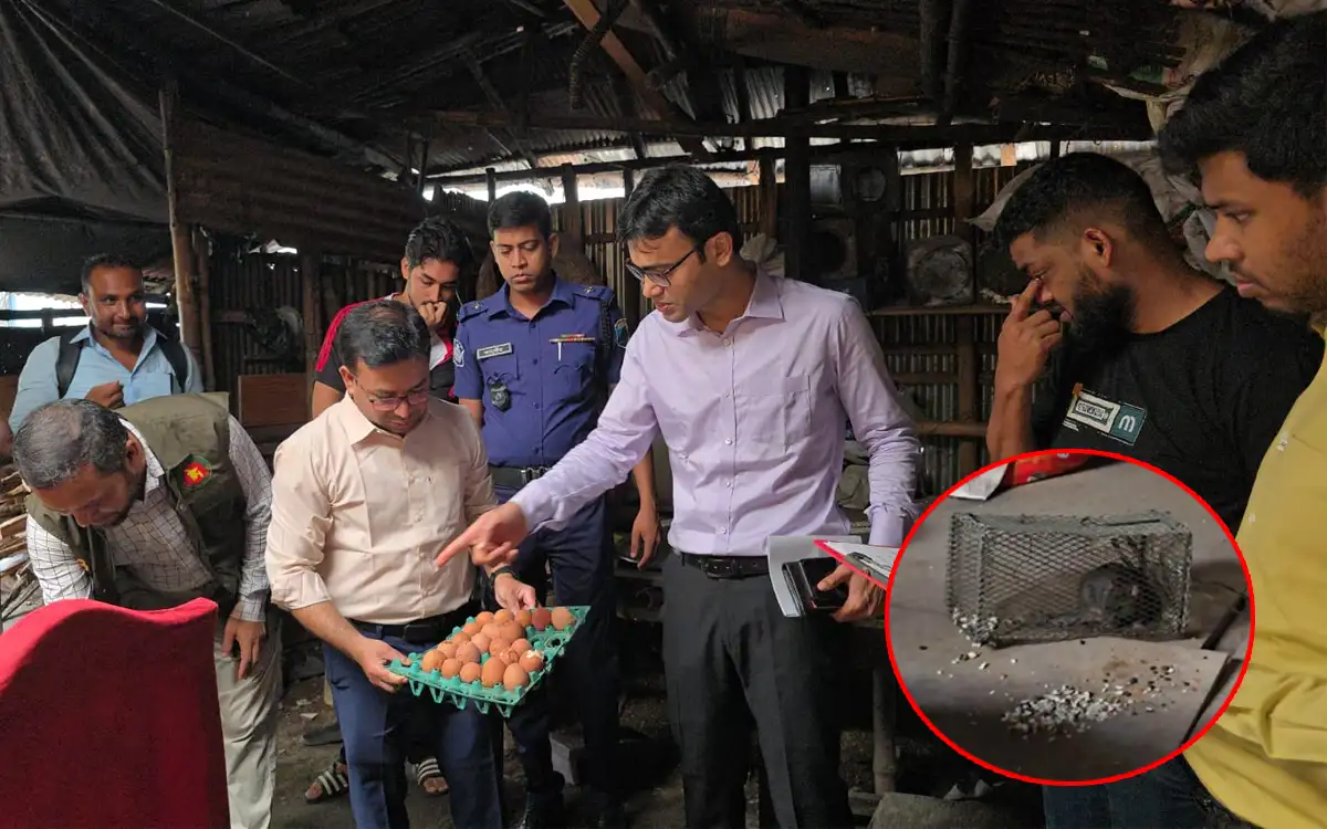 বগুড়ায় ইঁদুর ও কবুতরের বিষ্ঠার মাঝে তৈরি হচ্ছিল ফুচকা