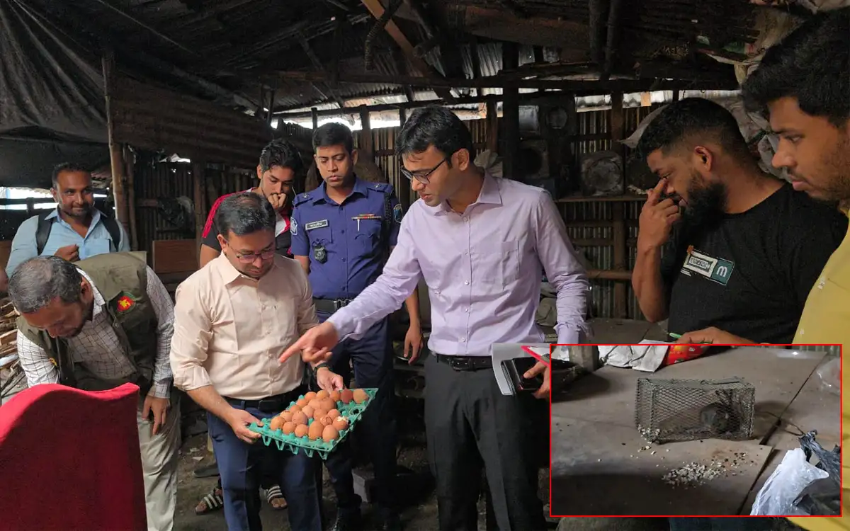বগুড়ায় ইঁদুর ও কবুতরের বিষ্ঠার মাঝে তৈরি হচ্ছিল ফুচকা