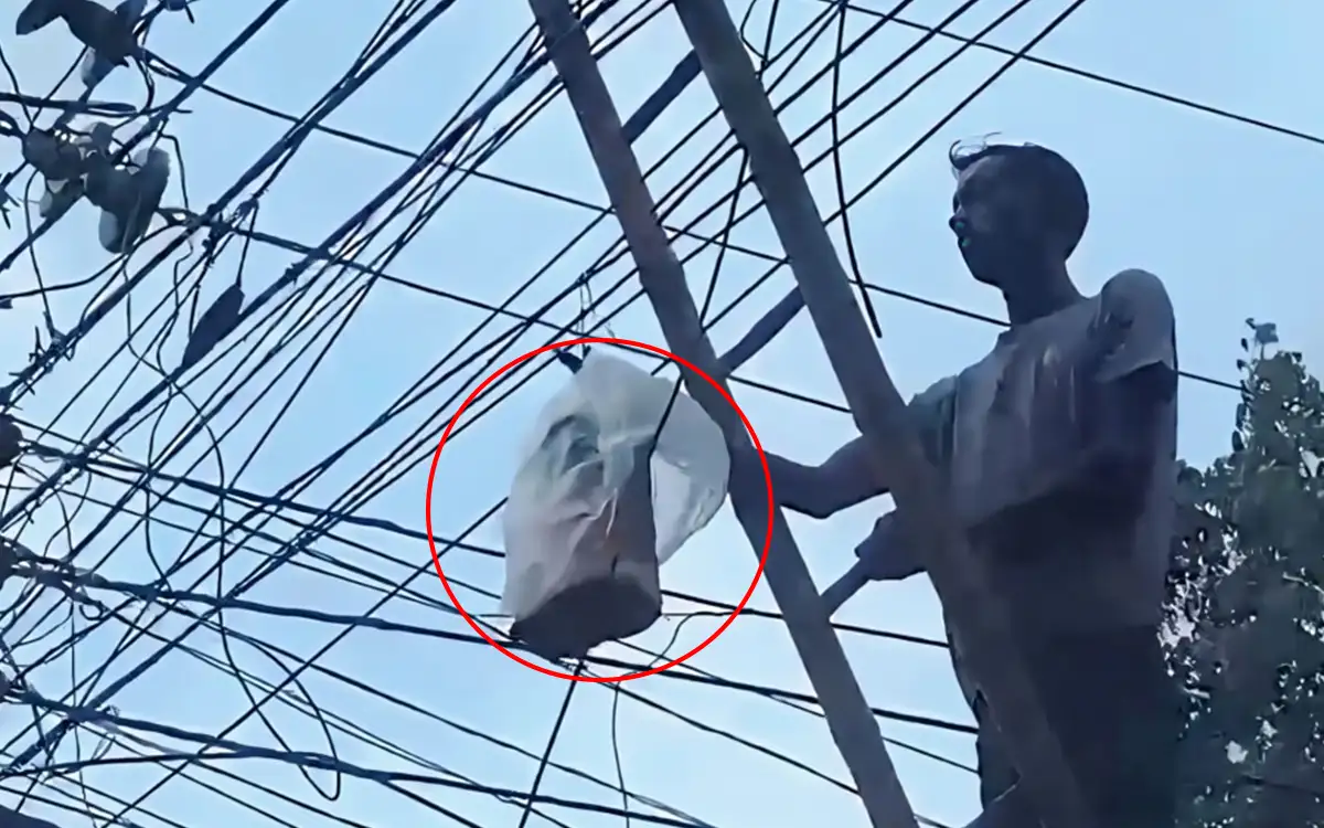 in-meherpur-the-bomb-like-box-on-the-electric-wire-was-playing-sheikh-mujibs-speech
