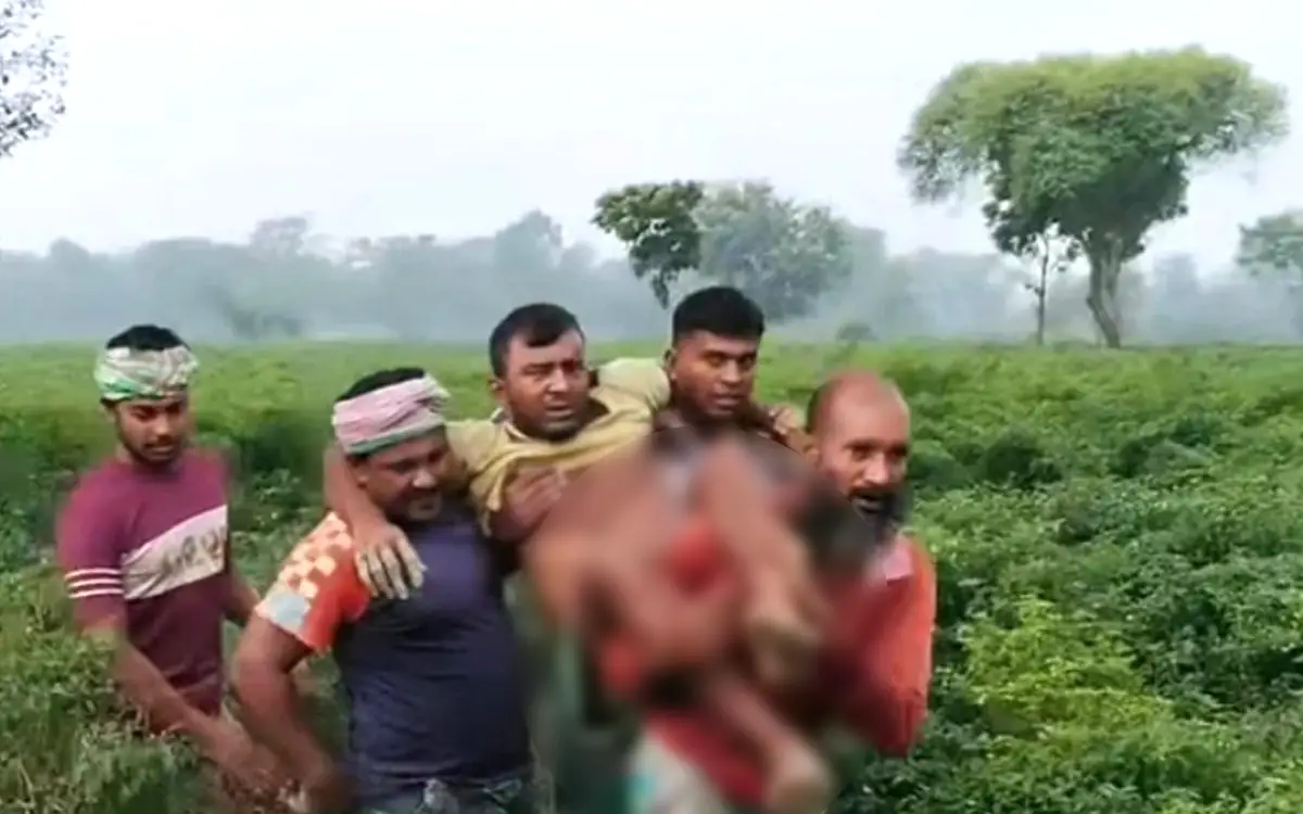 কুষ্টিয়া সীমান্তে বিএসএফের গুলিতে কৃষক আহত, বিজিবির পাল্টা গুলি