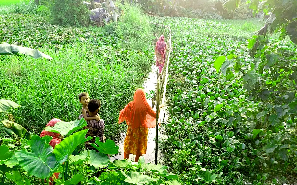 ৩৬ বছর ধরে সড়ক নেই, বাঁশের সাঁকোই ভরসা ২৬ পরিবারের