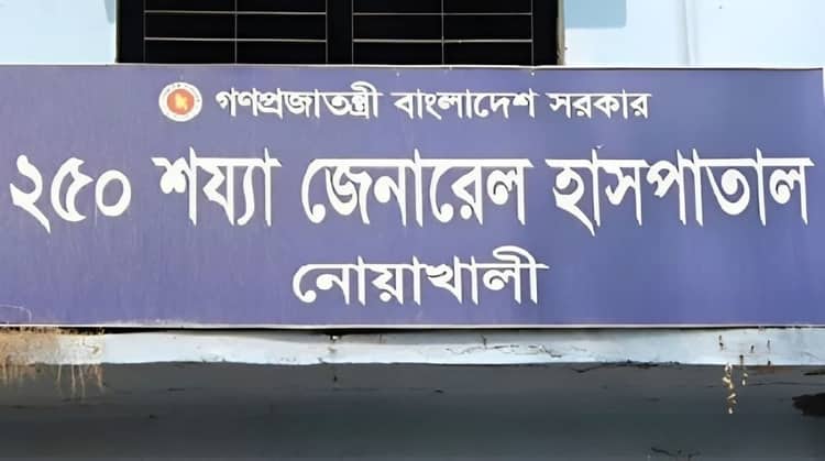নোয়াখালীতে হাঁস ধান খাওয়ায় নারীকে পিটিয়ে হত্যা