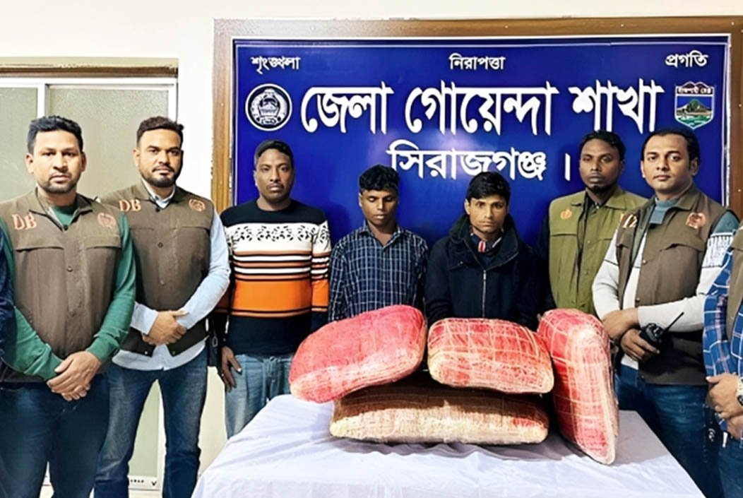 সিরাজগঞ্জের রায়গঞ্জে অভিযান চালিয়ে ২৫ কেজি গাঁজাসহ গ্রেফতার ৩
