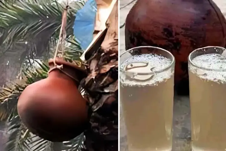 নড়াইলে খেজুরের রস পান করে ৬ শিক্ষার্থী হাসপাতালে ভর্তি