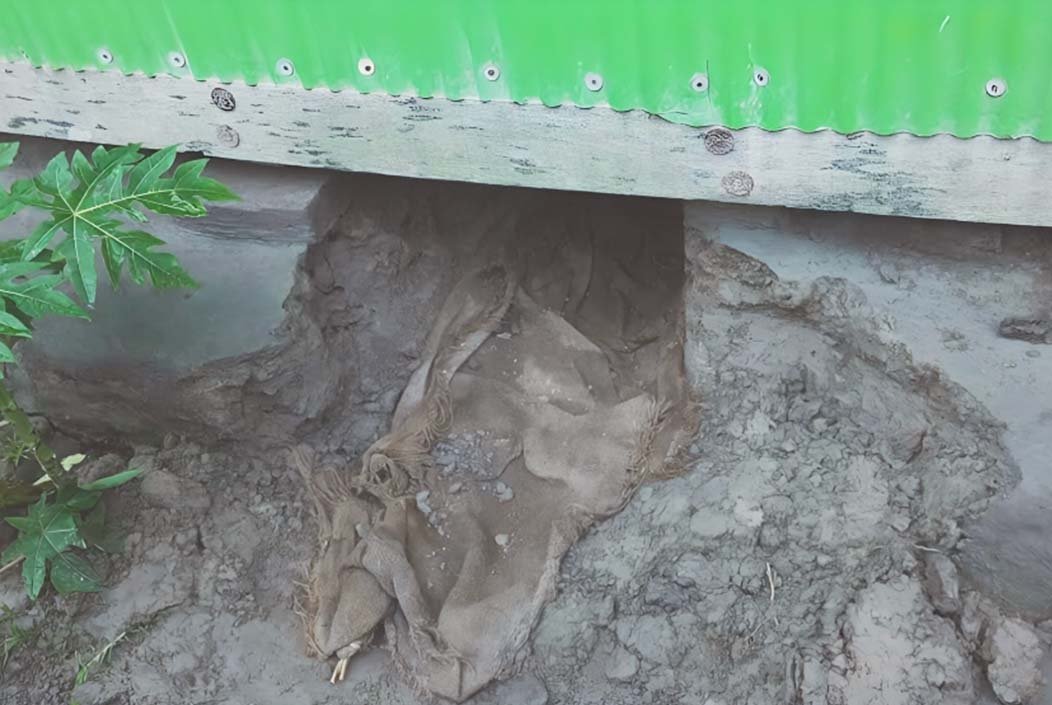 নোয়াখালীর সুবর্ণচরে ঘরের সিঁধ কেটে চুরি করতে ঢুকে মা ও মেয়েকে ধর্ষণ