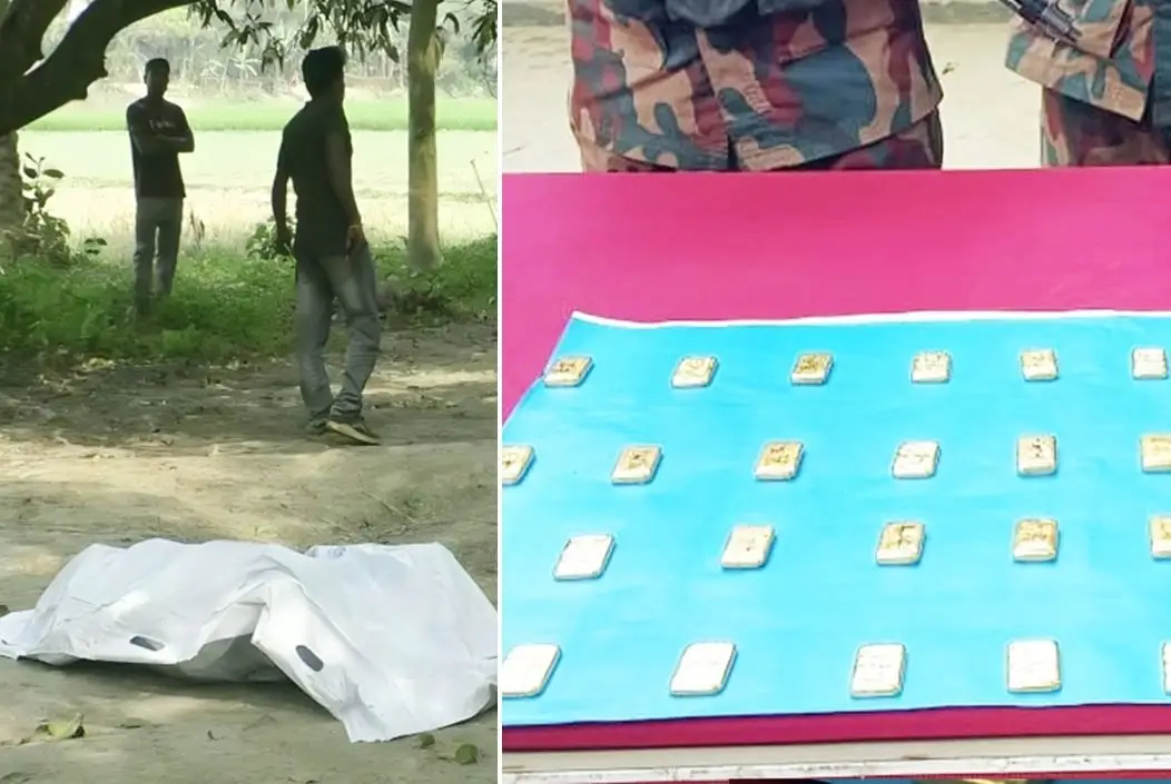 যশোরের শার্শা সীমান্ত ইছামতি নদী থেকে সোয়া ৫ কেজি সোনাস...