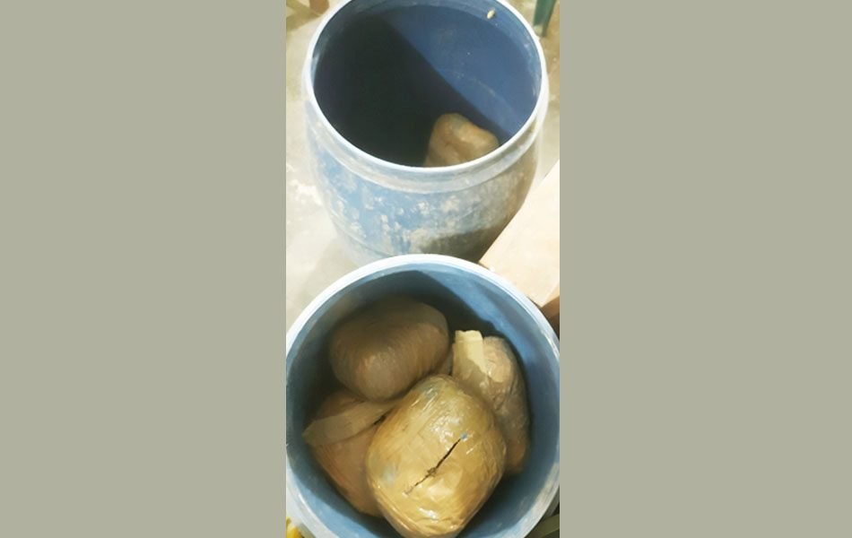 যশোরের শার্শায় ৩৮ কেজি গাঁজাসহ নারী আটক