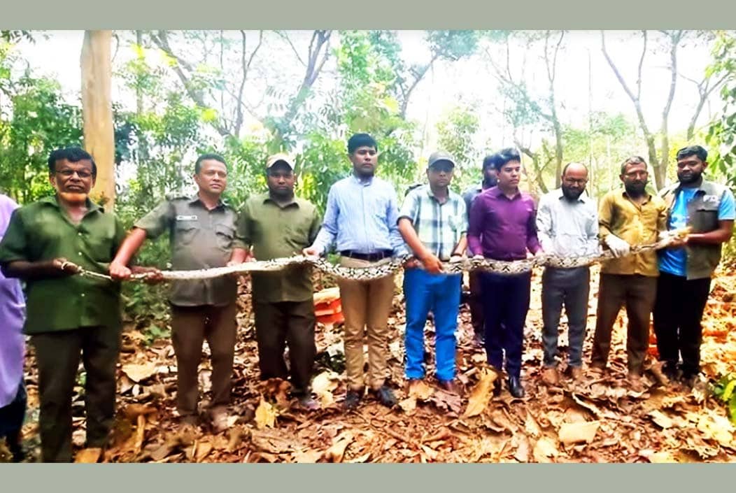রাঙ্গামাটিতে হাঁসের খামার থেকে ১৪ ফুটের অজগর উদ্ধার