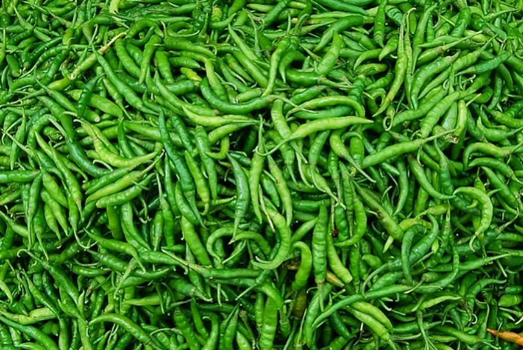 কাঁচা মরিচের দাম কেজিতে ২০০ টাকা ছাড়িয়েছে