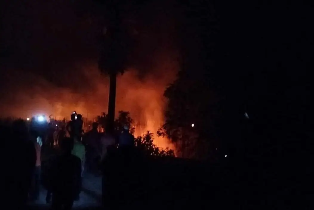 চুয়াডাঙ্গায় ভয়াবহ আগুনে ৮০ বিঘা পানের বরজ পুড়ে ছাই