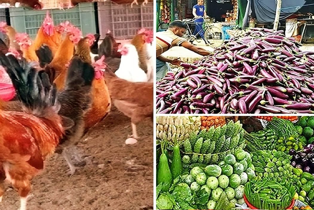 বেগুনের বাজারে আগুন, সোনালি মুরগির দাম চড়া