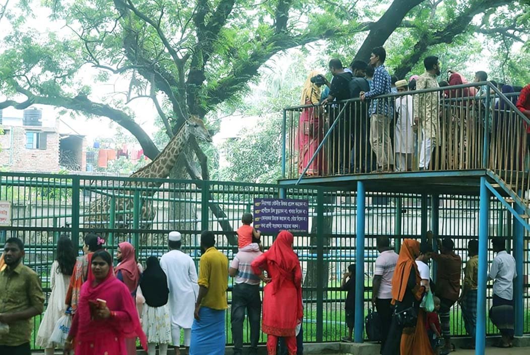 ঈদের দ্বিতীয় দিনে জাতীয় চিড়িয়াখানায় দর্শনার্থীদের ভির