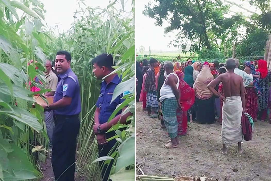 গোসলের সময় নিখোঁজ হওয়া কিশোরীর মরদেহ মিলল পাটক্ষেতে