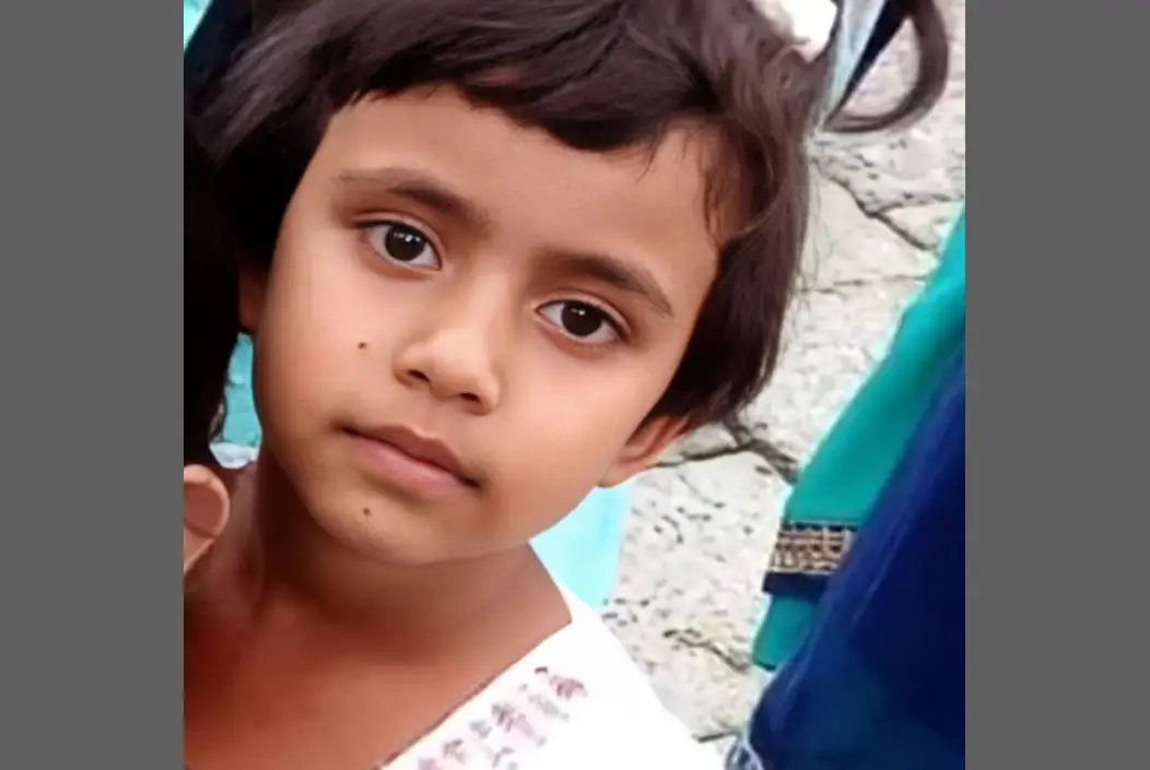 চাঁদপুরের মতলব উত্তরে অটোরিকশার ধাক্কায় প্রাণ গেল শিশুর