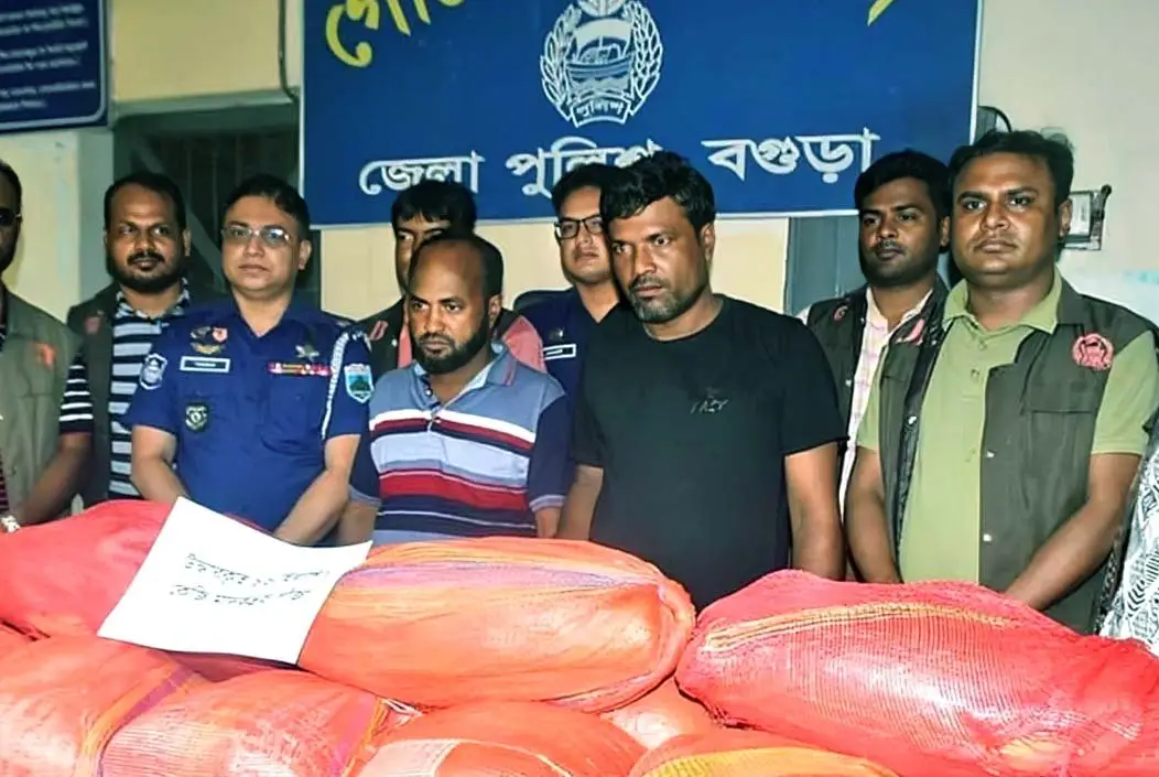 বগুড়ায় ৮৬ কেজি গাঁজাসহ দুই মাদক কারবারি আটক