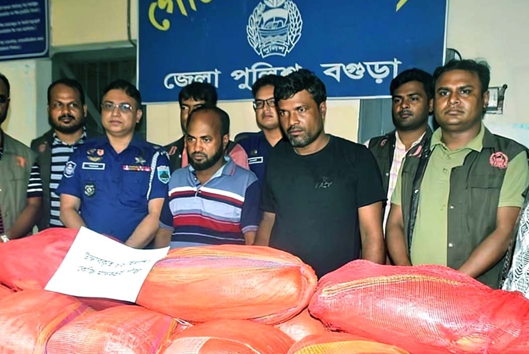 বগুড়ায় ৮৬ কেজি গাঁজাসহ দুই মাদক কারবারি আটক