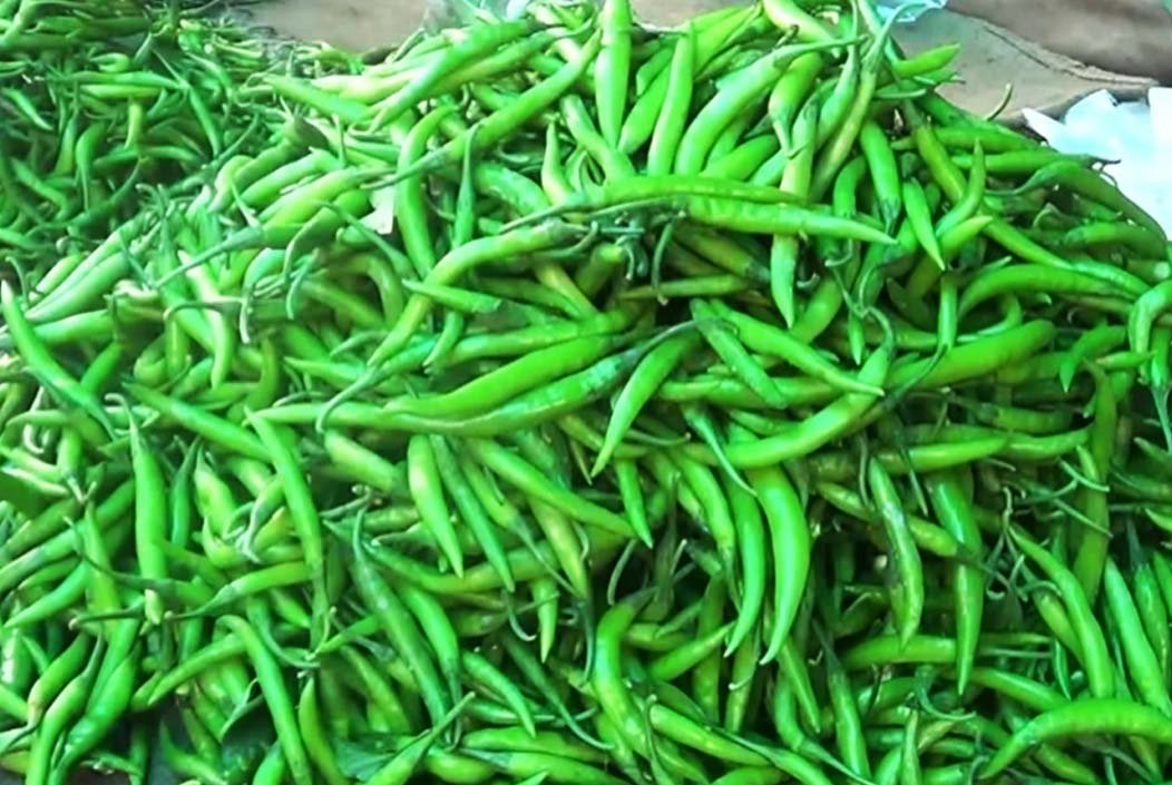 সরবরাহ বাড়ায় কমলো কাঁচা মরিচের দাম