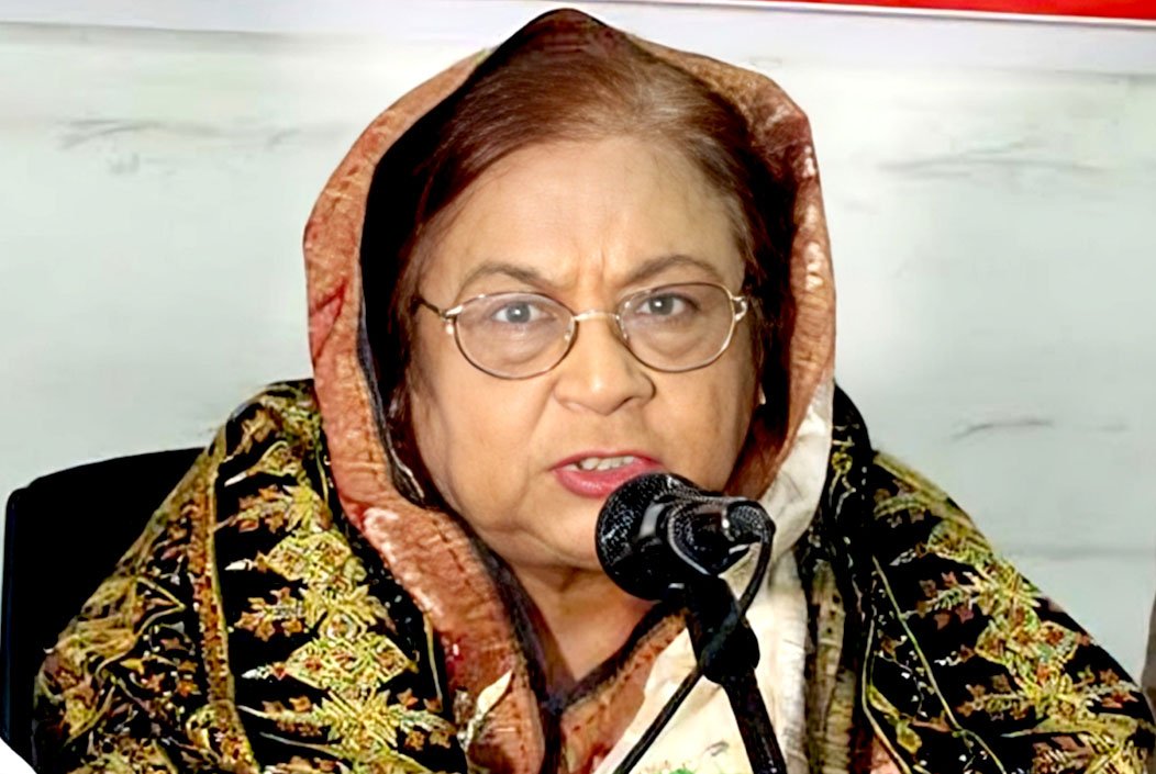 দেশের মূল জায়গাগুলোতে এখনও ফ্যাসিস্টের দোসরা বসে আছে: সেলিমা রহমান