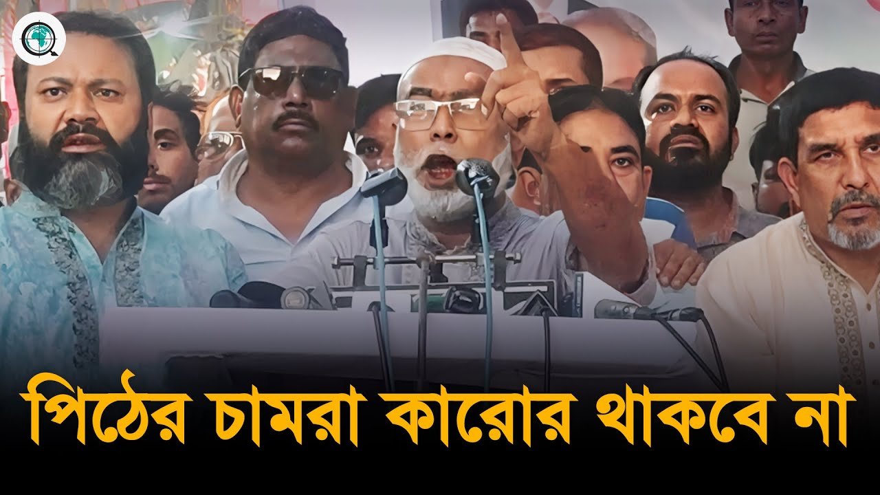 জাতীয় পার্টি পিপীলিকা না বাজ পাখি