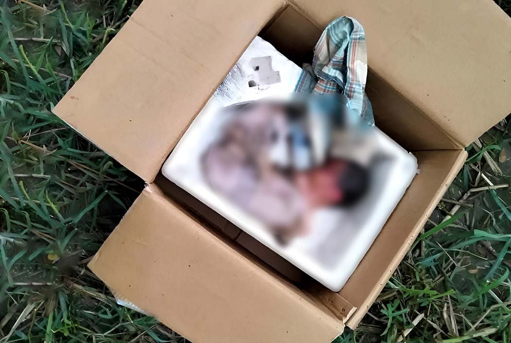 কুমিল্লায় কার্টনে মোড়ানো নবজাতকের মরদেহ উদ্ধার