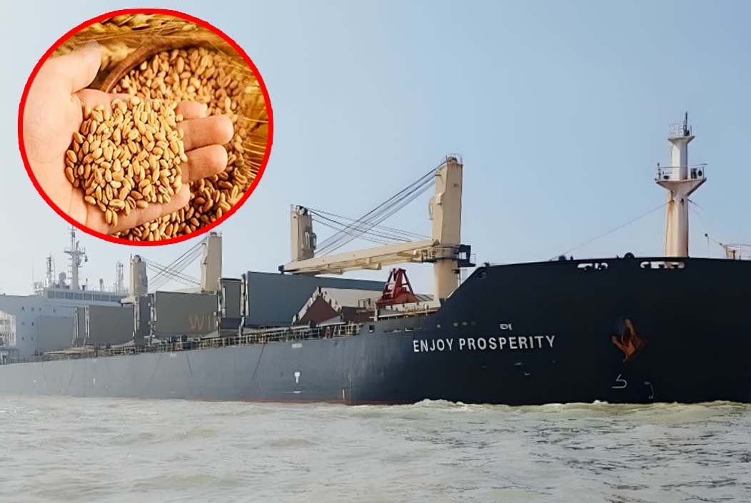 আর্জেন্টিনা থেকে এলো ৫২ হাজার মেট্রিক টন গম