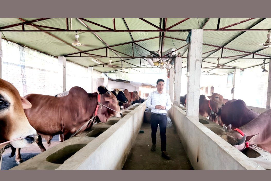 বগুড়ায় কোরবানিযোগ্য পশুর চাহিদা সাড়ে ৭ লাখ, উদ্বৃত্ত থাকবে ৩৮ হাজার